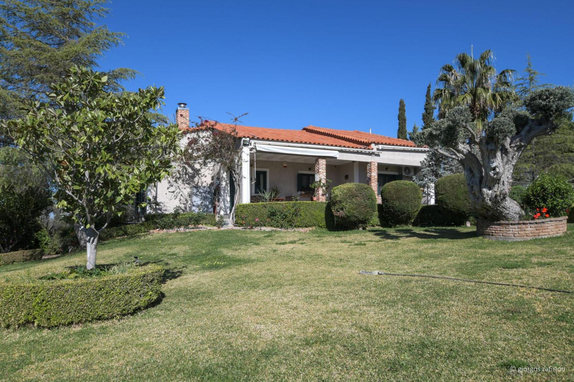 Nerotrivia Villa - Ocean Panorama And Lush Gardens Esterno foto
