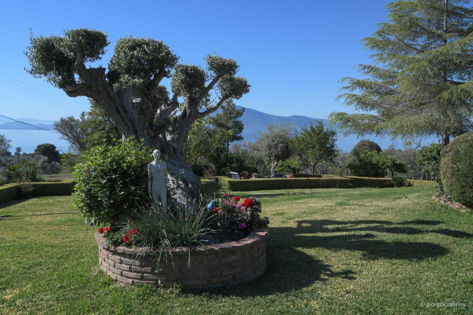 Nerotrivia Villa - Ocean Panorama And Lush Gardens Esterno foto